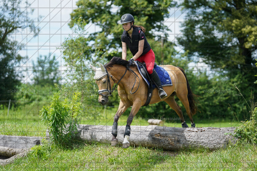 20240622-FAH07506 | Turnierfotografen Bayern, Reitsportbilder aus dem Geländekurs mit Felix Etzel auf dem Gut Waitzacker 2024