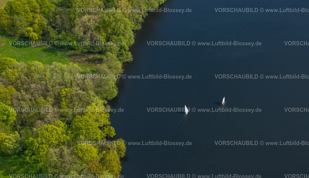 Nettetal240403105KrickenbeckerSeen | Luftbild, Zwei Segelboote auf dem Großer De Wittsee, bewaldeter Uferbereich, Lobberich, Nettetal, Niederrhein, Nordrhein-Westfalen, Deutschland