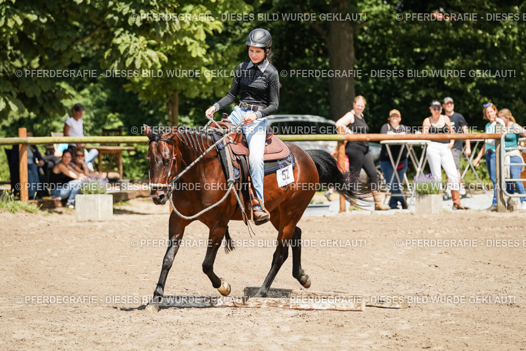 DSC07652 | Pferdegrafie