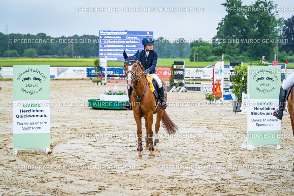 DSC01483 | Pferdegrafie