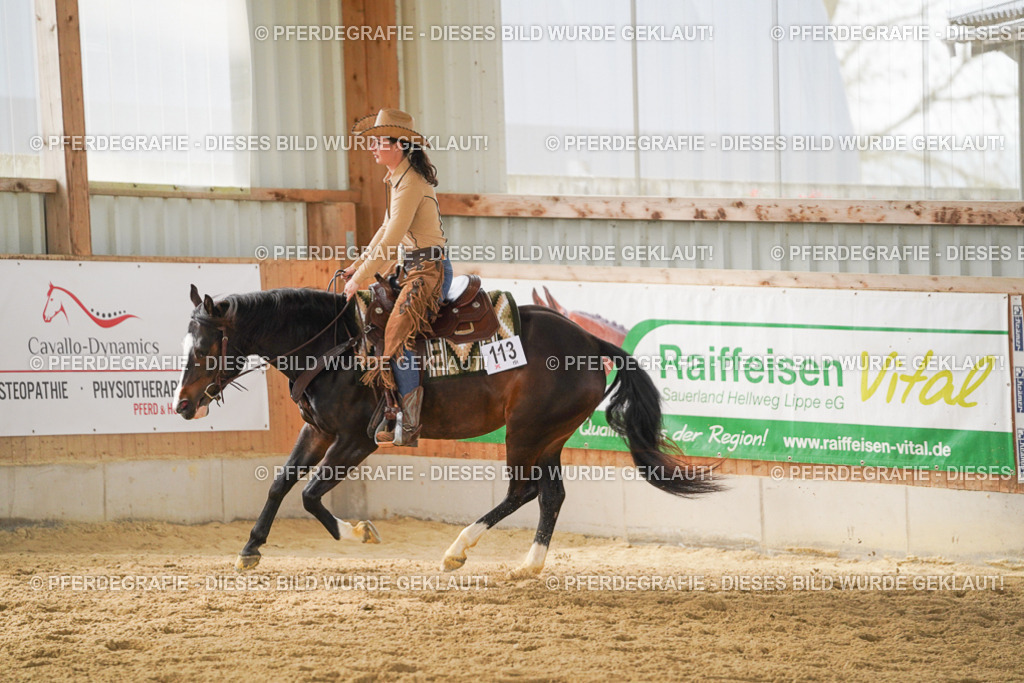 DSC05820 | Pferdegrafie