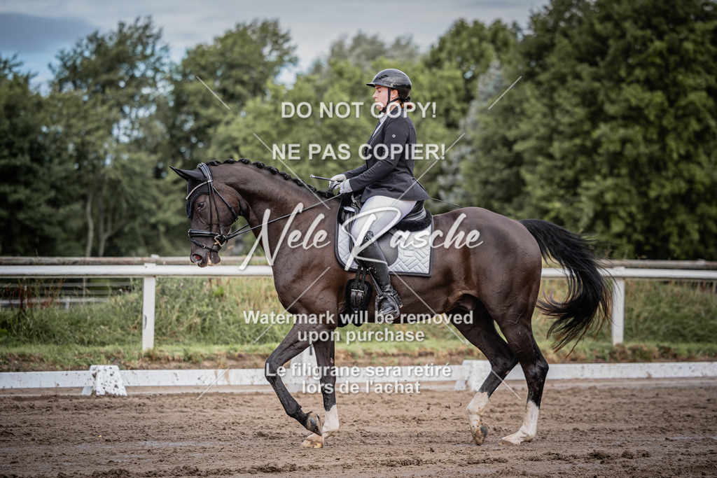 nelerasche_DrEEde_37 | nelerasche