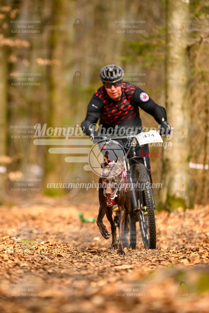 MompixPhotography_Habay2025_SA_Bike-107 | PayLife