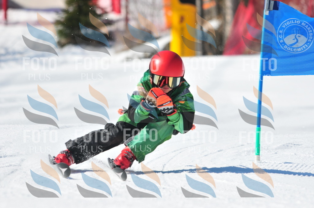 C3650 | holidayphoto