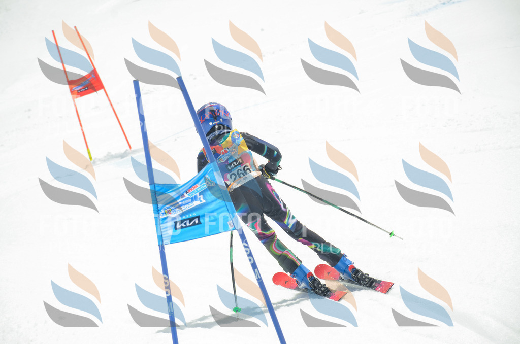 _ELE7754 | holidayphoto