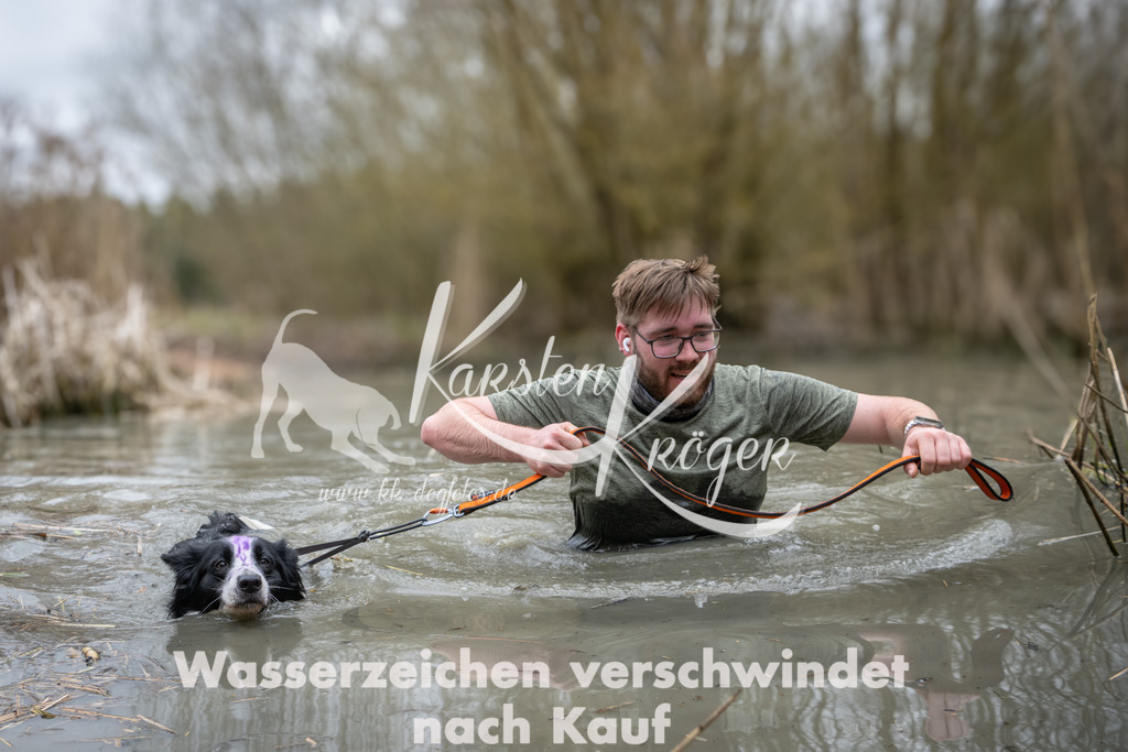 1116_ZZ98136 | kk-dogfotos