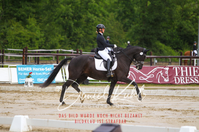 DKP40569 | Turniersportfotografie; Pferdefotografie; Dressurfotografie