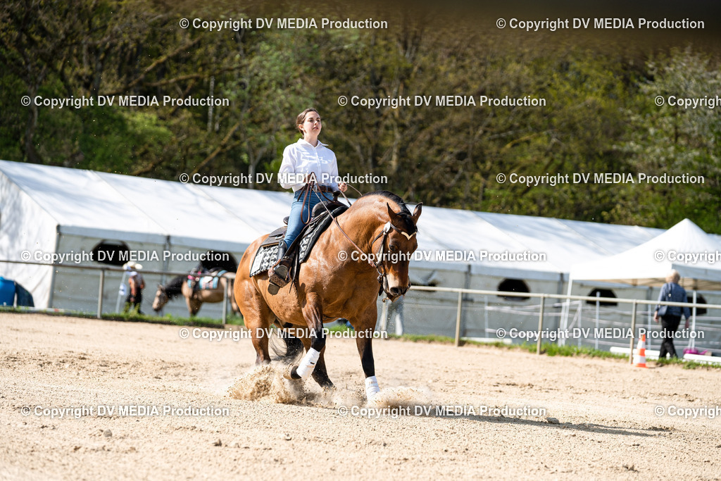 Heiligenwald Tag 2-1075 | dv-media-shop - Realisiert mit Pictrs.com