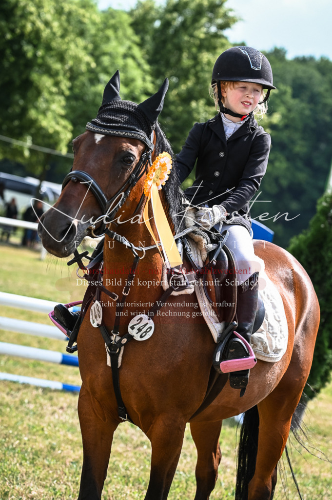 DSC_8598 | Pferde- und Turnierfotografie in Westsachsen. Pferdeportraits, Auftragszeichnungen und intuitive Kunst.