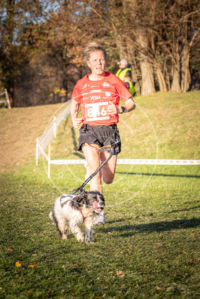 CaniXpix_0L8A0834 | Hundefotografie, Tierfotograf, Pfotenfotografie, Fotoshooting Hund, Hunde Portrait, Hundesport, Hundeportraits, Heideshooting, Hunde, Sportfotograf, Hundefotograf, Turnierhundsport, THS,  - Realisiert mit Pictrs.com