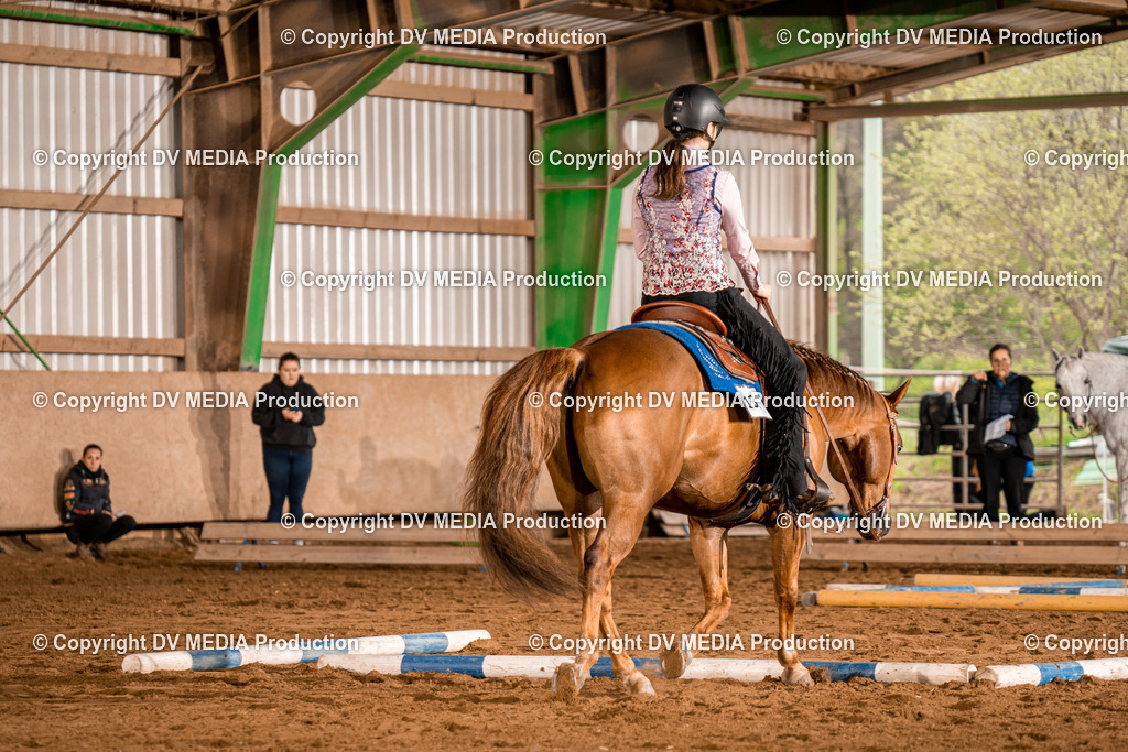 BA300320 | dv-media-shop - Realisiert mit Pictrs.com