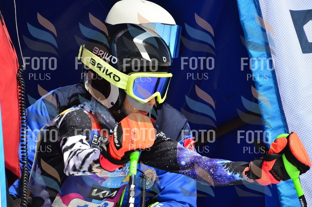 _ELE0848 | holidayphoto