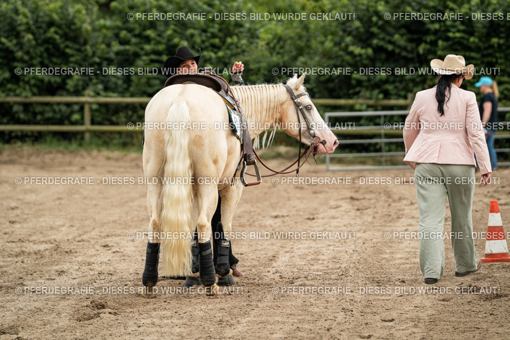 DSC04962 | Pferdegrafie