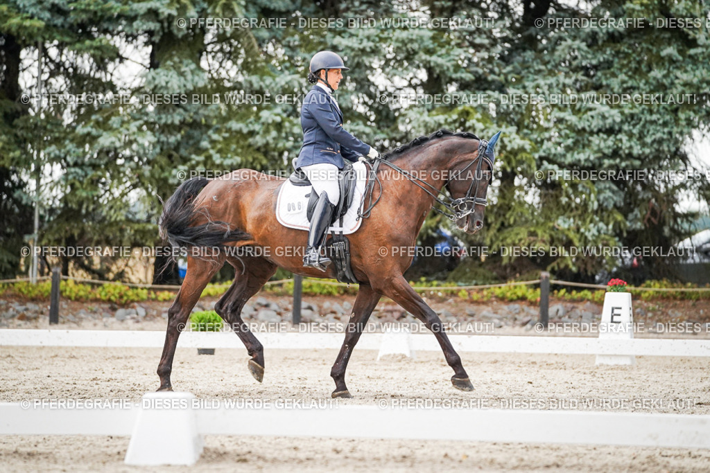 DSC09492 | Pferdegrafie