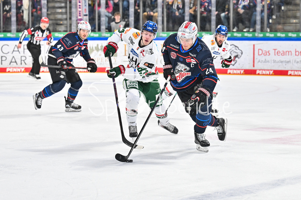 Nürnberg Ice Tigers - Augsburger Panther | NUREMBERG, GERMANY - 23. JANUARY: im Duell Sebastian ZWICKL (Augsburger Panther 83) und Marcus WEBER (Nürnberg Ice Tigers 24) während dem Match zwischen den Nürnberg Ice Tigers und den Augsburger Panthern am 42. Spieltag der Penny DEL in der PSD Bank Nürnberg Arena