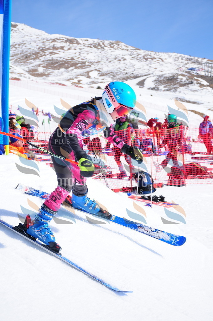 DSC_4393 | holidayphoto