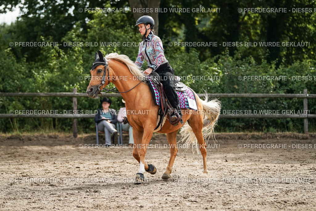 DSC03469 | Pferdegrafie