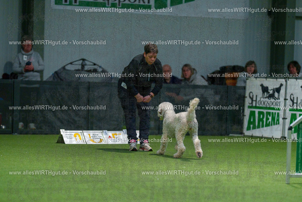 7R505530 | Professionelle Tierfotografie in Mönchengladbach von Daniel Wirth (allesWIRTHgut). Liebevolle & natürliche Bilder von Hunden & Katzen für unvergessliche Erinnerungen.