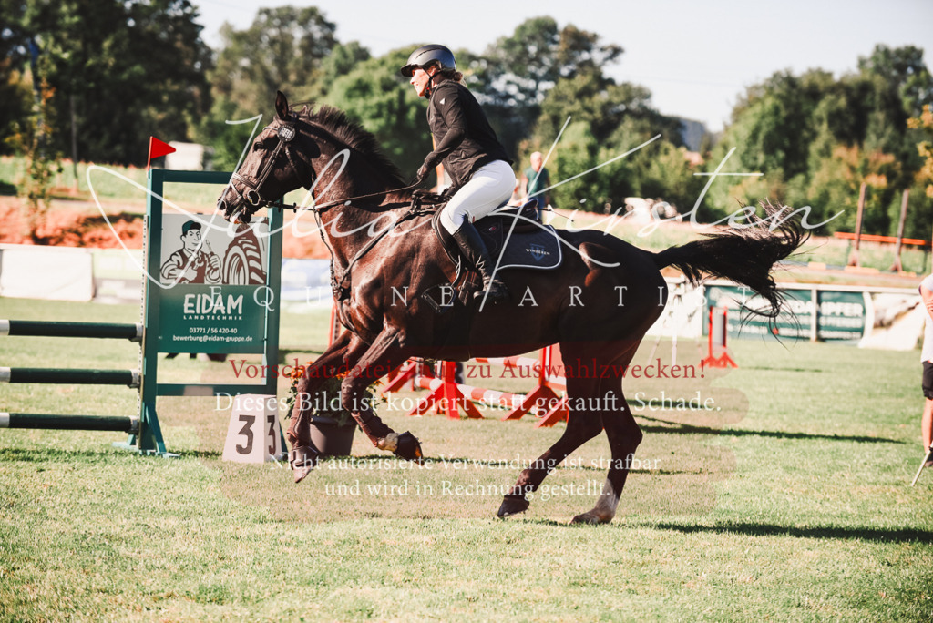 DSC_2267 | Pferde- und Turnierfotografie in Westsachsen. Pferdeportraits, Auftragszeichnungen und intuitive Kunst.