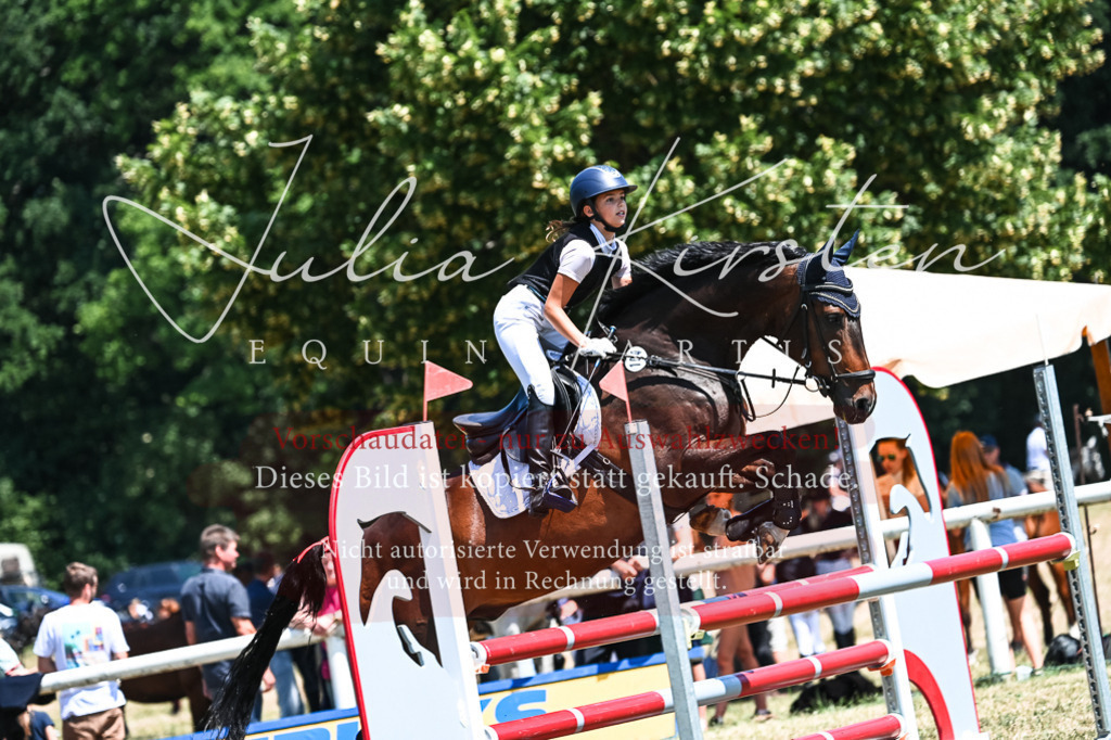 DSC_0521 | Pferde- und Turnierfotografie in Westsachsen. Pferdeportraits, Auftragszeichnungen und intuitive Kunst.