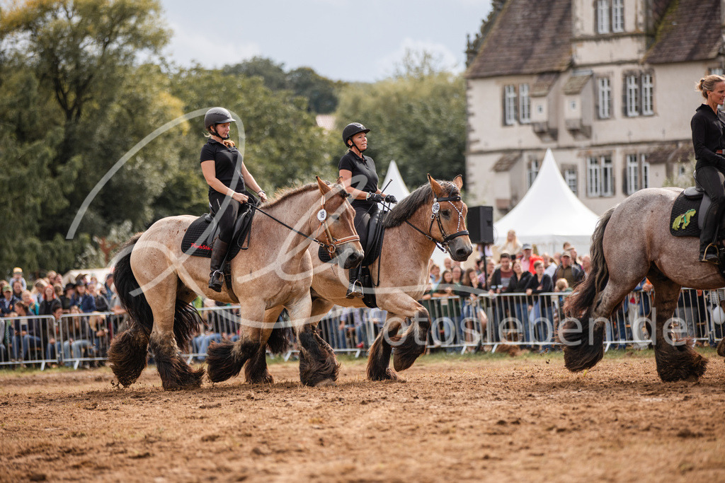 846A4006 | fotosleben - Realisiert mit Pictrs.com