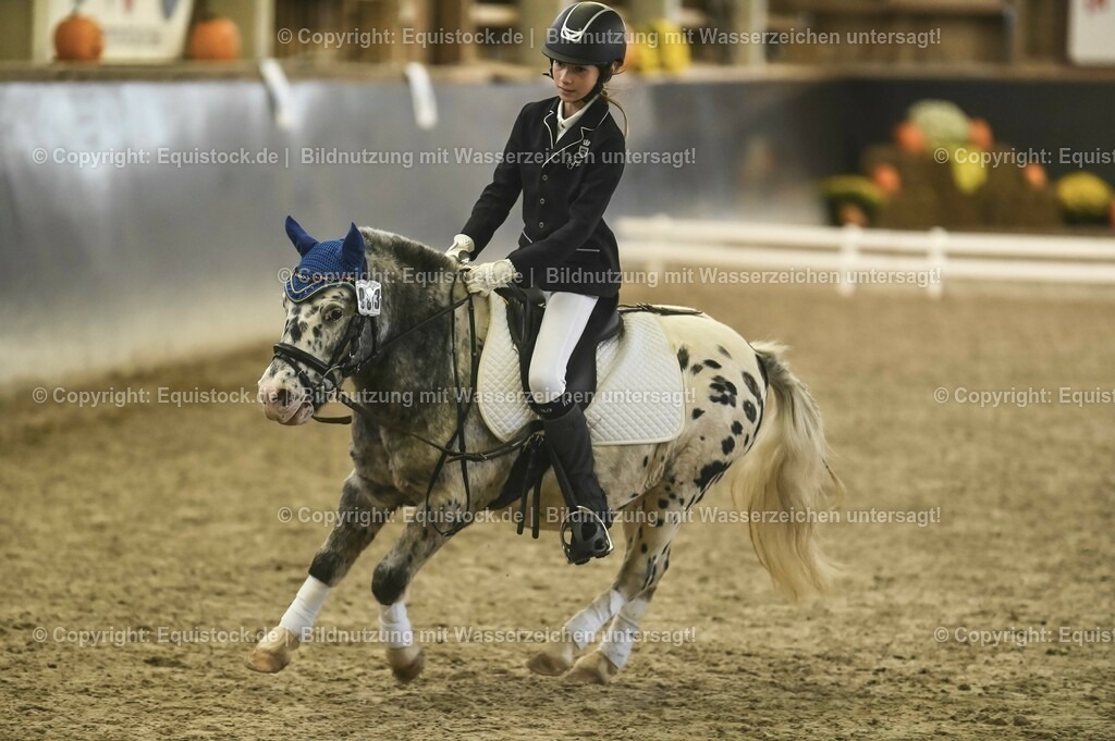 20231029_02_Reiter-WB_Schritt-Trab-Galopp_Abteilung-01_0067 | Foto: Thomas Hartig