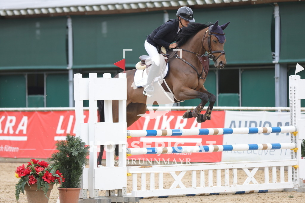 0P6A1801 | Willkommen bei Brunnmayr - Design & Fotografie – Ihrem Spezialisten für Reitturniere und Pferdeveranstaltungen in Oberösterreich, Salzburg und Bayern! Seit über 17 Jahren sind wir leidenschaftlich dabei.