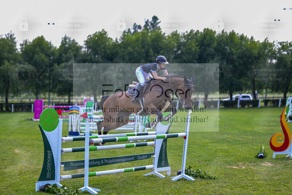 Reitturnier Voxtrup | Entdecke hochwertige Reitturnierfotos von Foto Oger. Professionell, emotional und authentisch – jetzt Lieblingsmomente im Shop bestellen. - Realisiert mit Pictrs.com
