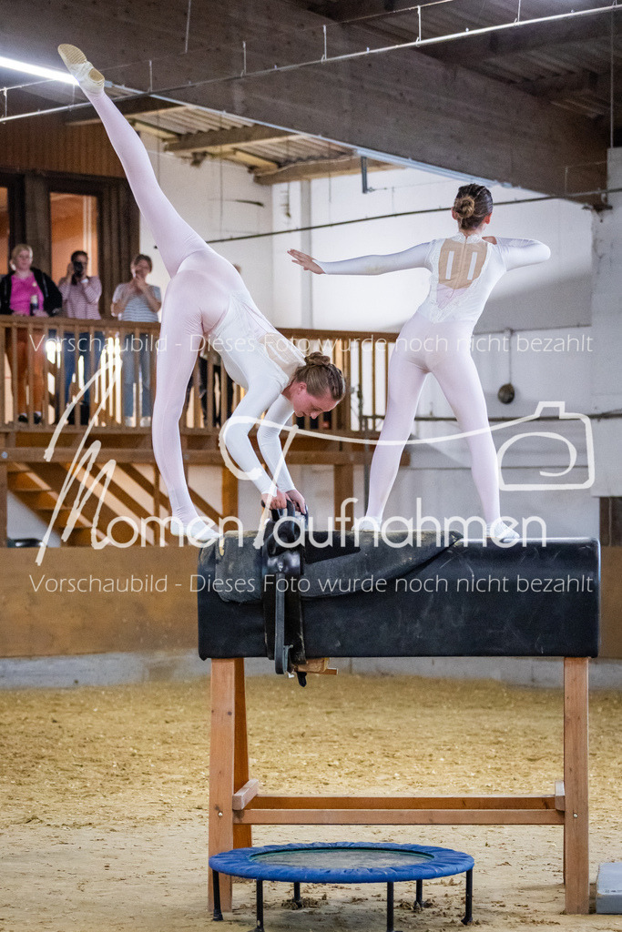 Holzpferd-118 | MomenTaufnahmen Pferdesportfotos