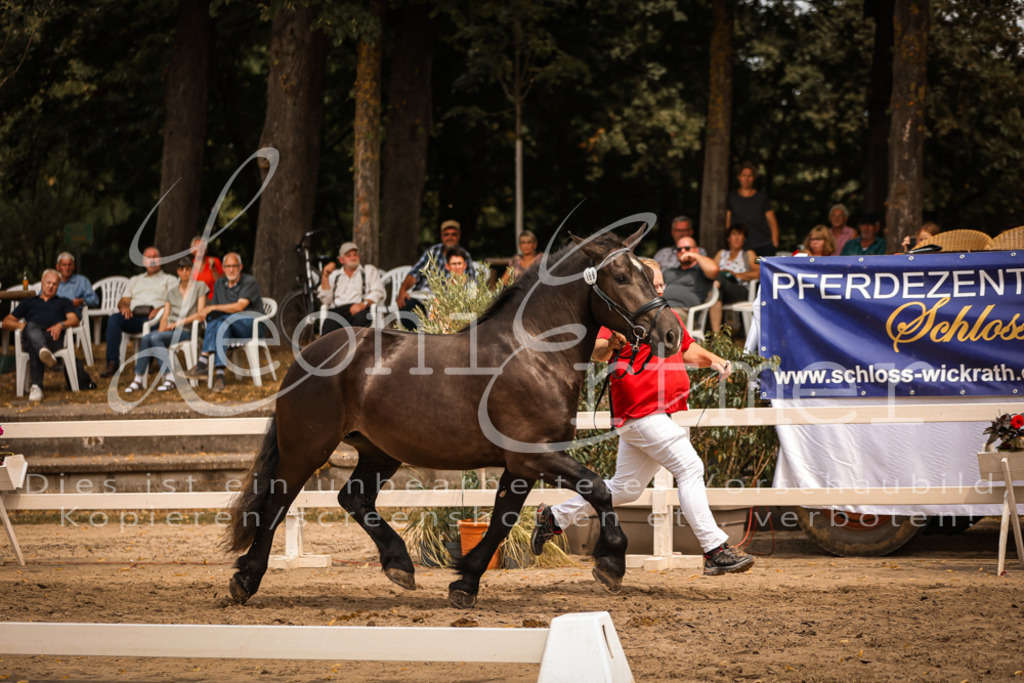 4.Sa00053 | Leoni Ertmer Photography - Realisiert mit Pictrs.com