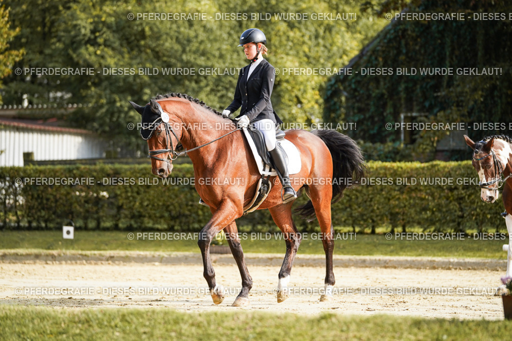 DSC05783 | Pferdegrafie