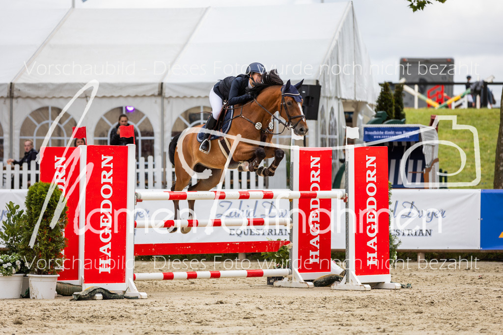 BHO-2PhSpr-M-5-2415 | MomenTaufnahmen Pferdesportfotos