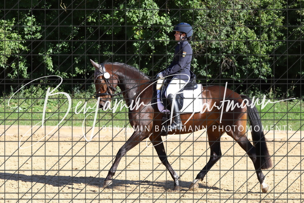 IMG_5152 | Benjamin Bartmann Photomoments