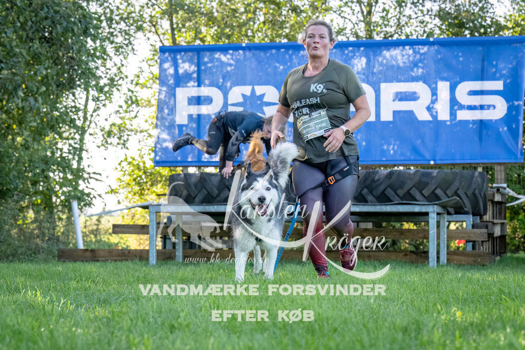 1034--5 | kk-dogfotos