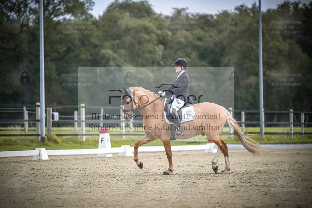 DOS_B539 | Entdecke hochwertige Reitturnierfotos von Foto Oger. Professionell, emotional und authentisch – jetzt Lieblingsmomente im Shop bestellen. - Realisiert mit Pictrs.com