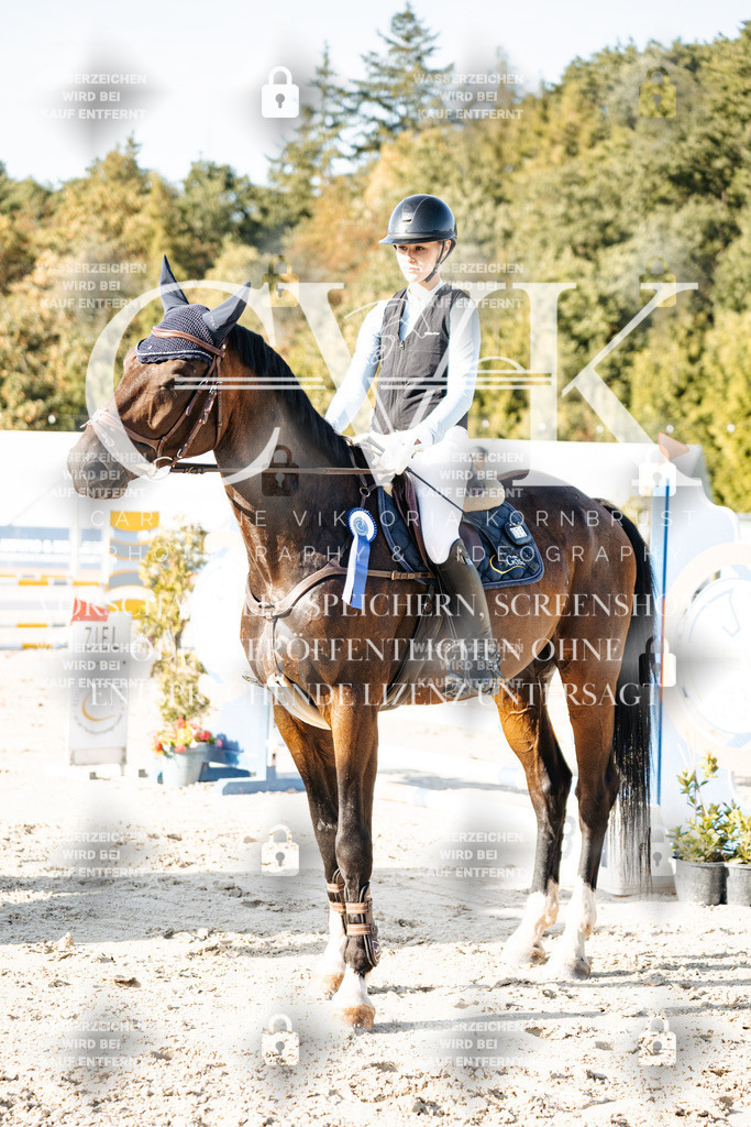 CK705219 | Turnierfotografie Pferdefotografie Trier Rheinland-Pfalz Pferdesport Reitsport Tierfotografie Sportfotografie Pferdevideo Pferdevideografie Equestrianvideography equestrianphotography  - Realisiert mit Pictrs.com