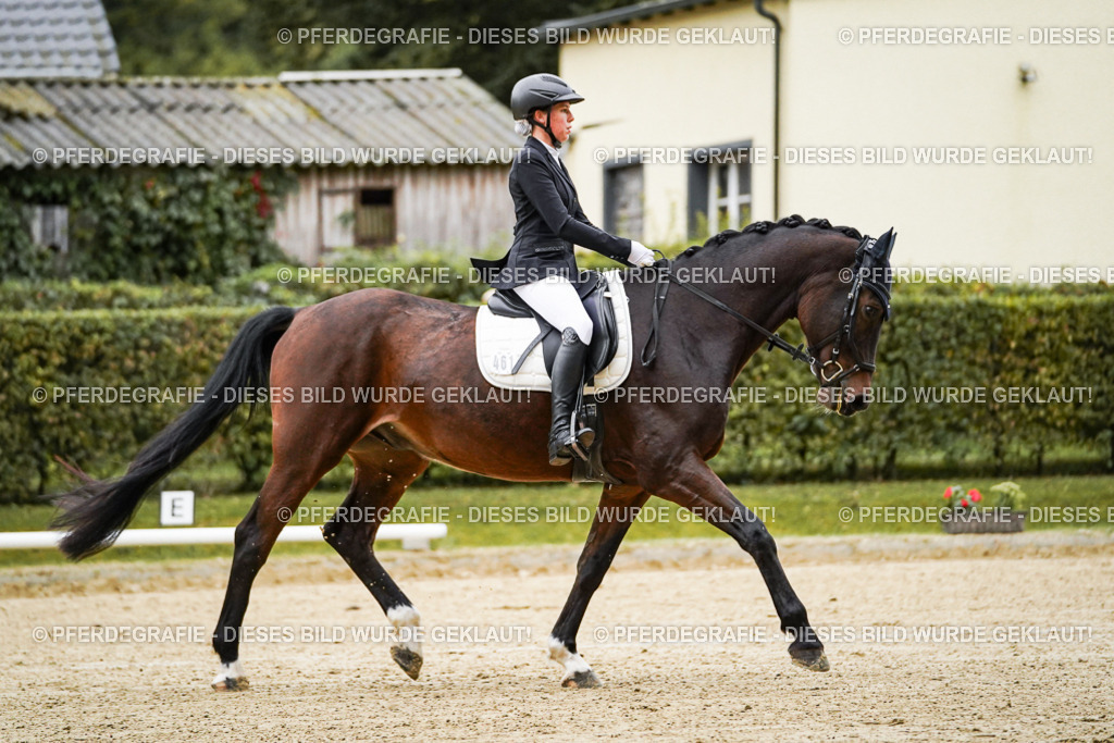 DSC06404 | Pferdegrafie