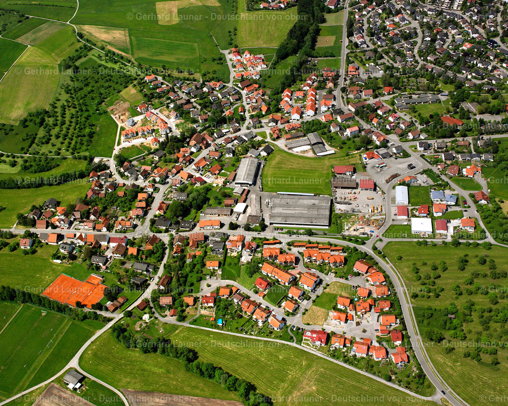 2506808 | Hohnweiler, Auenwald