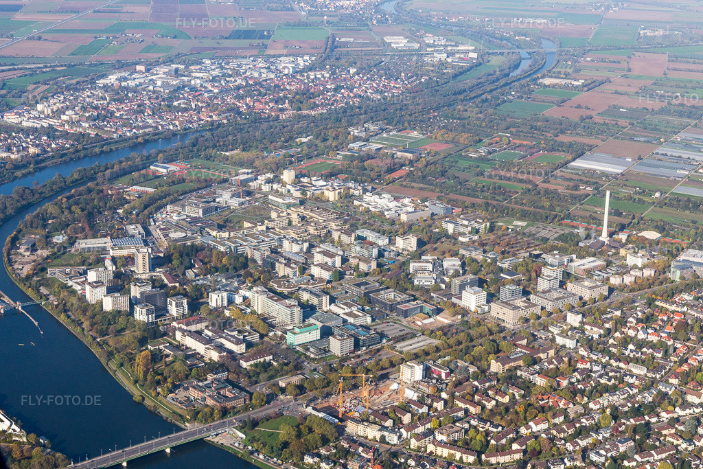 Luftbild: Universität im Ortsteil Neuenheim in Heidelberg im Bundesland Baden-Württemberg in Deutschland. Foto: IMG_104211.jpg vom 31.10.2017 durch Werner Riehm/FLY-FOTO.de