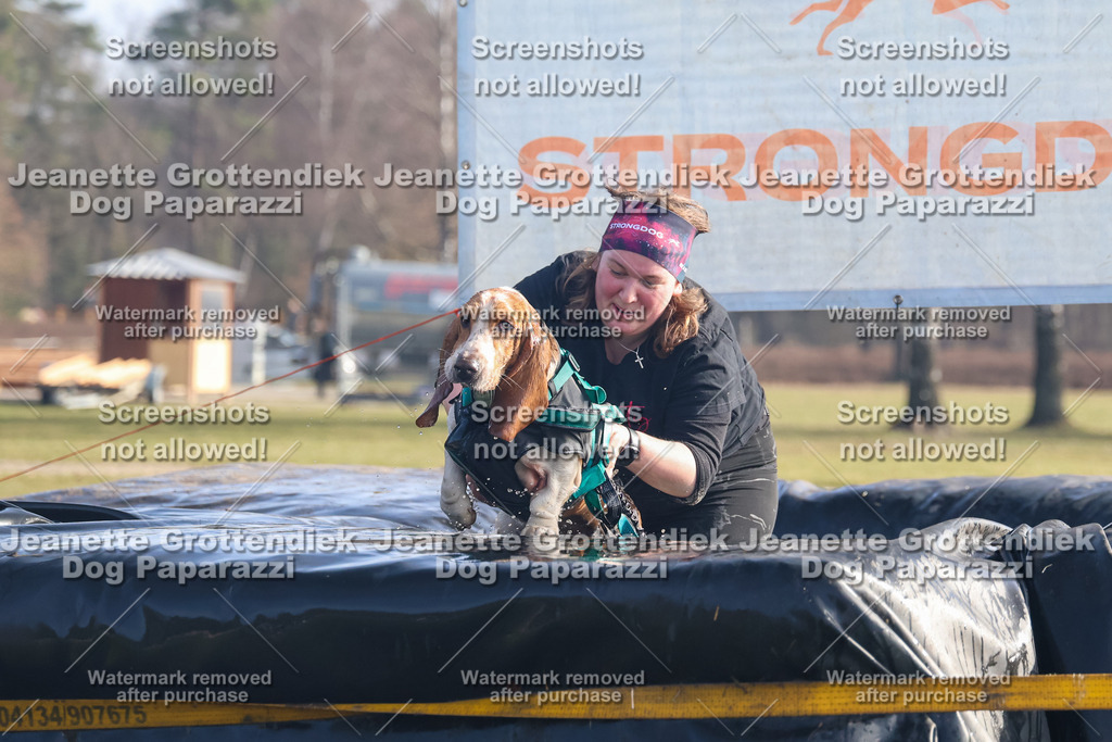 Dog Paparazzi - Strongdog North Mrz26-719 | Dog Paparazzi Jeanette Grottendiek Fotografie & Videografie - Realisiert mit Pictrs.com