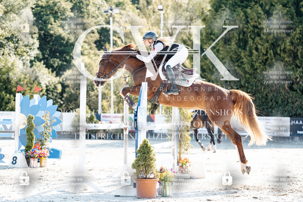 CK901890 | Turnierfotografie Pferdefotografie Trier Rheinland-Pfalz Pferdesport Reitsport Tierfotografie Sportfotografie Pferdevideo Pferdevideografie Equestrianvideography equestrianphotography  - Realisiert mit Pictrs.com