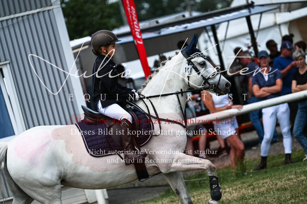 DSC_9624 | Pferde- und Turnierfotografie in Westsachsen. Pferdeportraits, Auftragszeichnungen und intuitive Kunst.