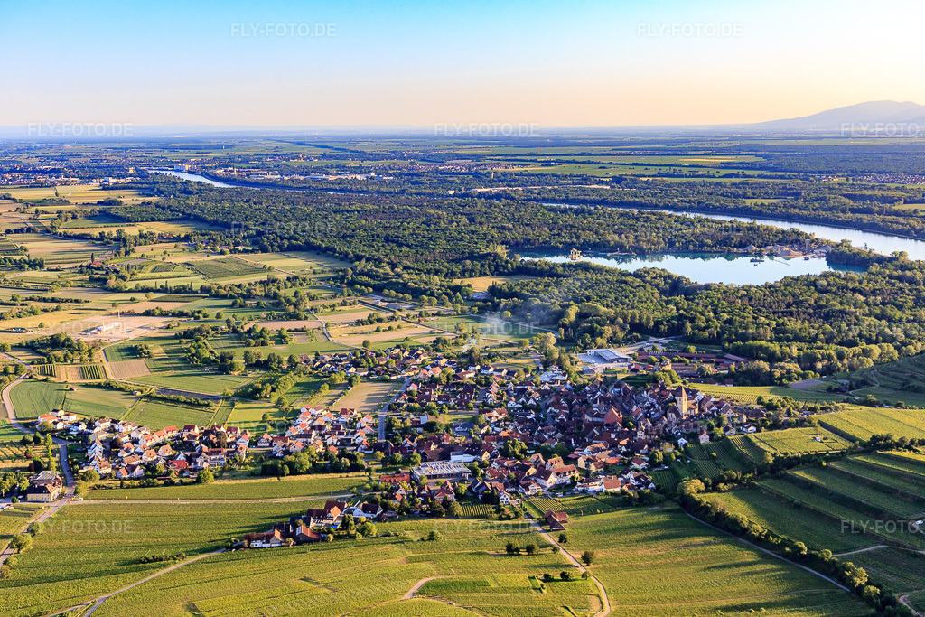 Luftbild: Winzerdorf im Kaiserstuhl aus Norden im Ortsteil Burkheim in Vogtsburg im Bundesland Baden-Württemberg in Deutschland. Foto: IMG_147890.jpg vom 30.05.2025 durch Werner Riehm/FLY-FOTO.de