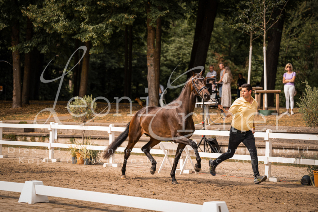 7.Fr00021 | Leoni Ertmer Photography - Realisiert mit Pictrs.com