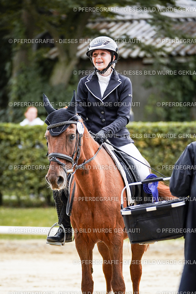 DSC04991 | Pferdegrafie