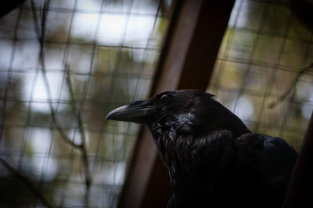 DSC_0346 | kaefersammler_roy - Realisiert mit Pictrs.com