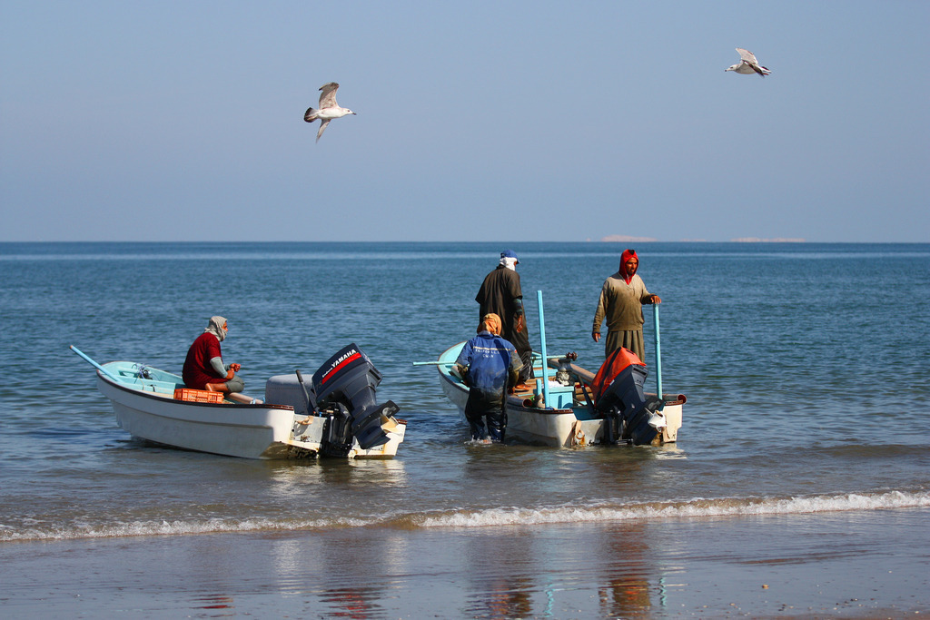 IMG_6021a | ansichtssache