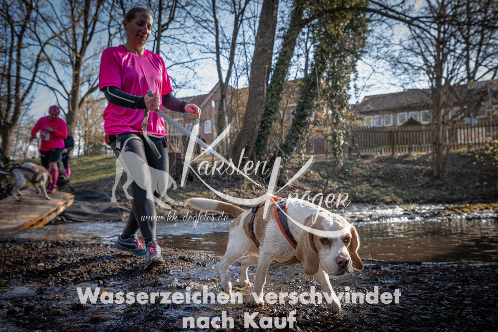 0828_ZZ91424 | kk-dogfotos