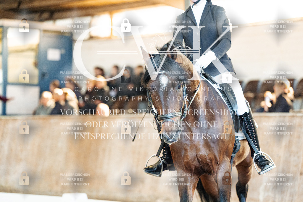 CK908566 | Turnierfotografie Pferdefotografie Trier Rheinland-Pfalz Pferdesport Reitsport Tierfotografie Sportfotografie Pferdevideo Pferdevideografie Equestrianvideography equestrianphotography  - Realisiert mit Pictrs.com