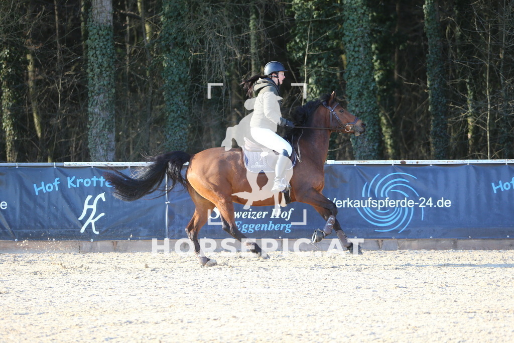 DL2Q1720 | Willkommen bei Brunnmayr - Design & Fotografie – Ihrem Spezialisten für Reitturniere und Pferdeveranstaltungen in Oberösterreich, Salzburg und Bayern! Seit über 17 Jahren sind wir leidenschaftlich dabei.